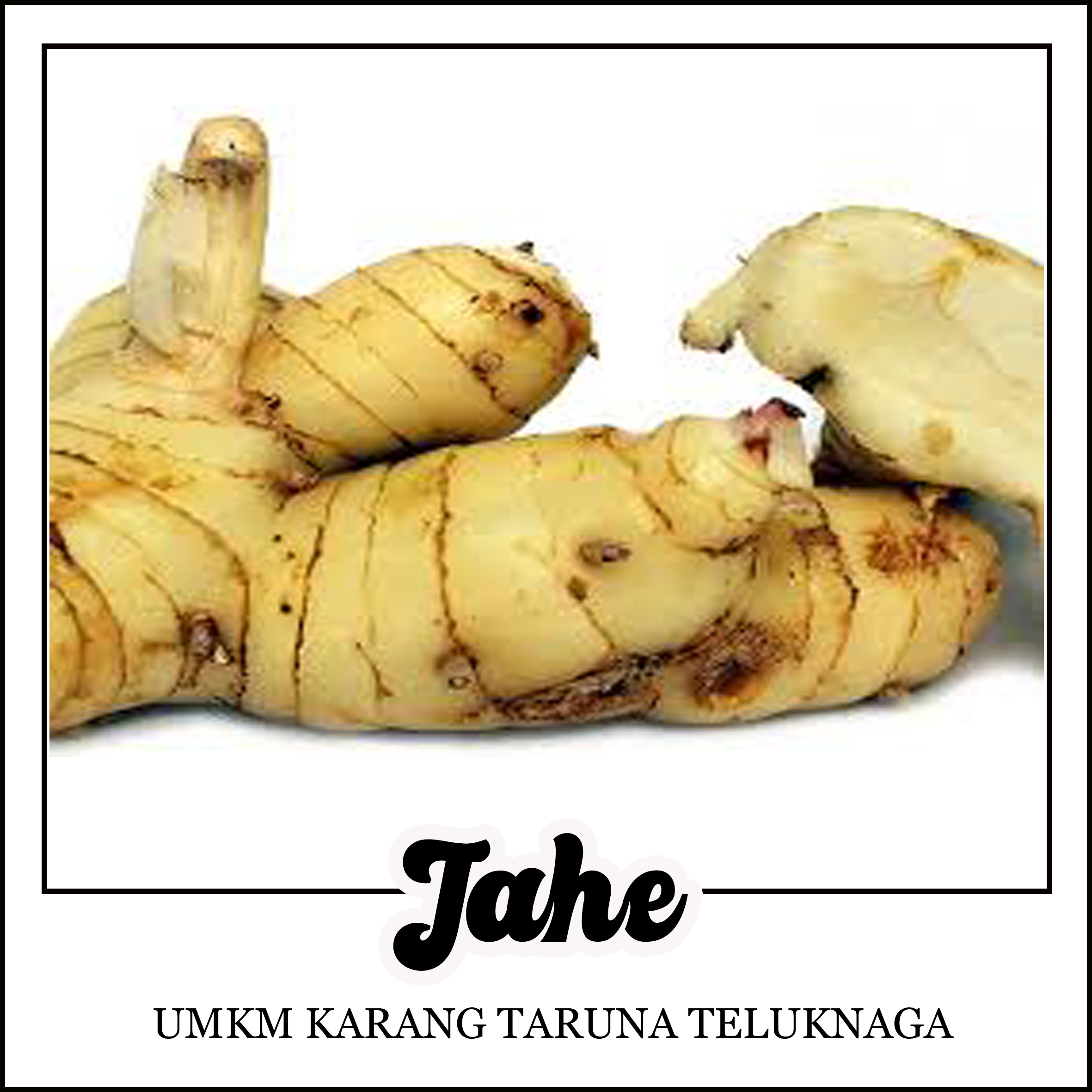 Jahe