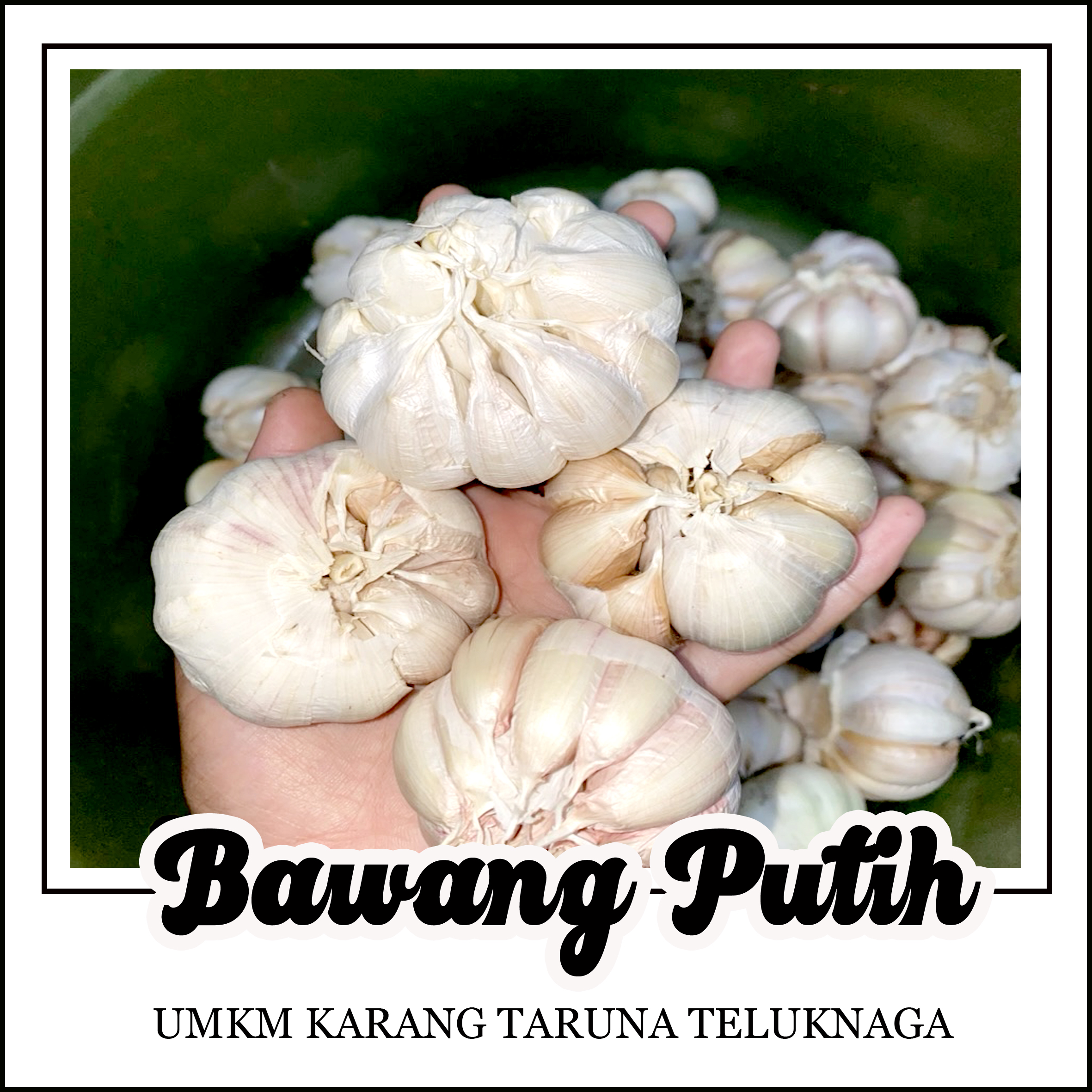 Bawang Putih