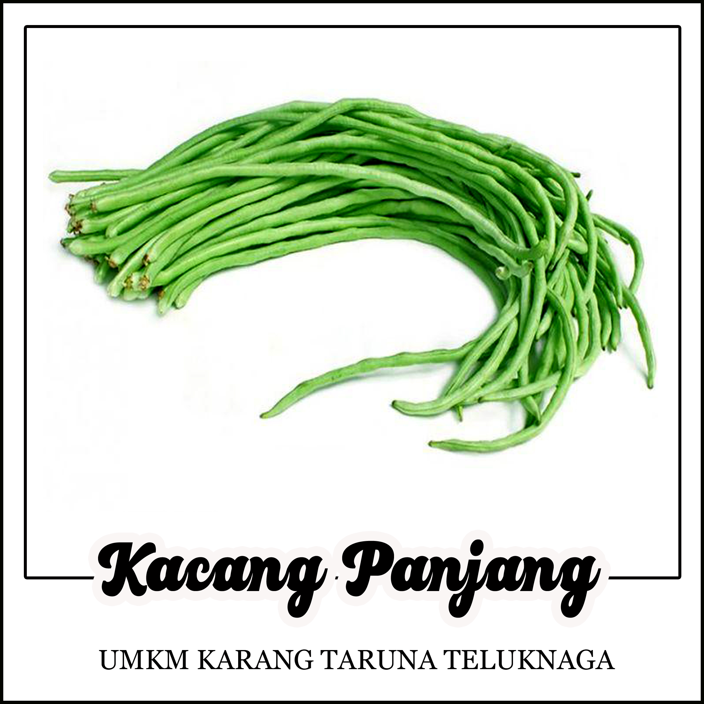 kacang panjang