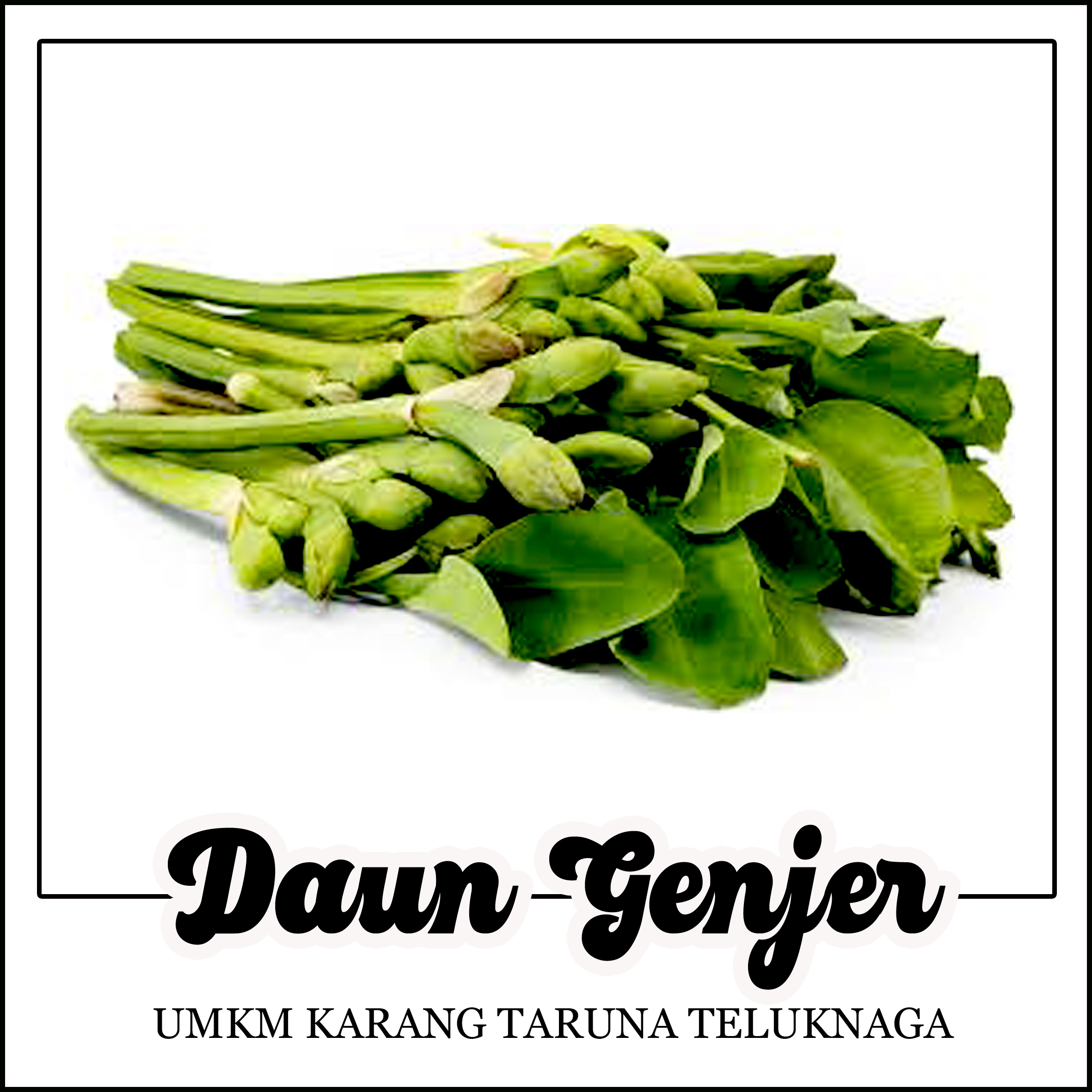 Daun Genjer