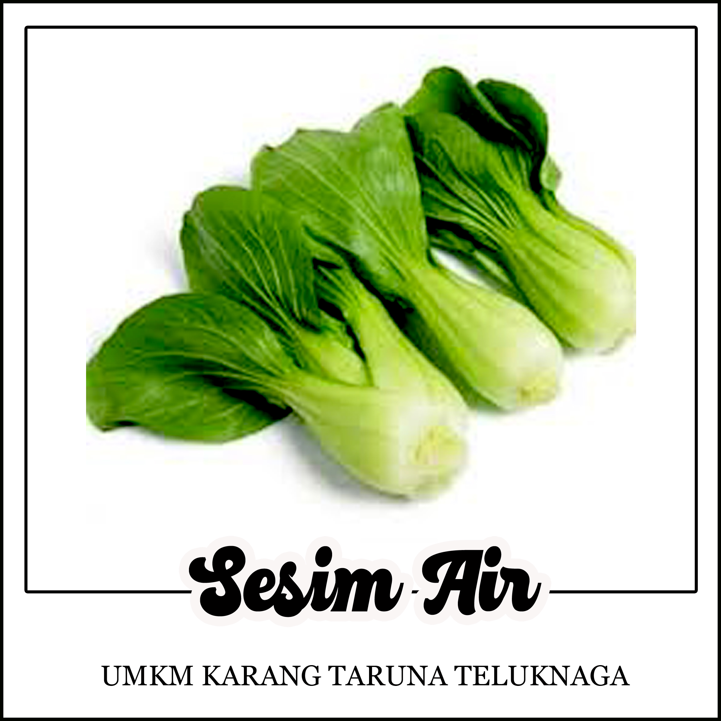sesin air